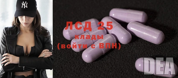 стаф Володарск