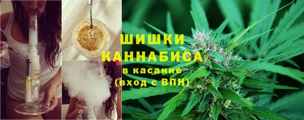 стаф Володарск