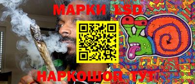 гашик Бийск