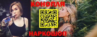 гашик Бийск