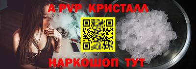 гашик Бийск