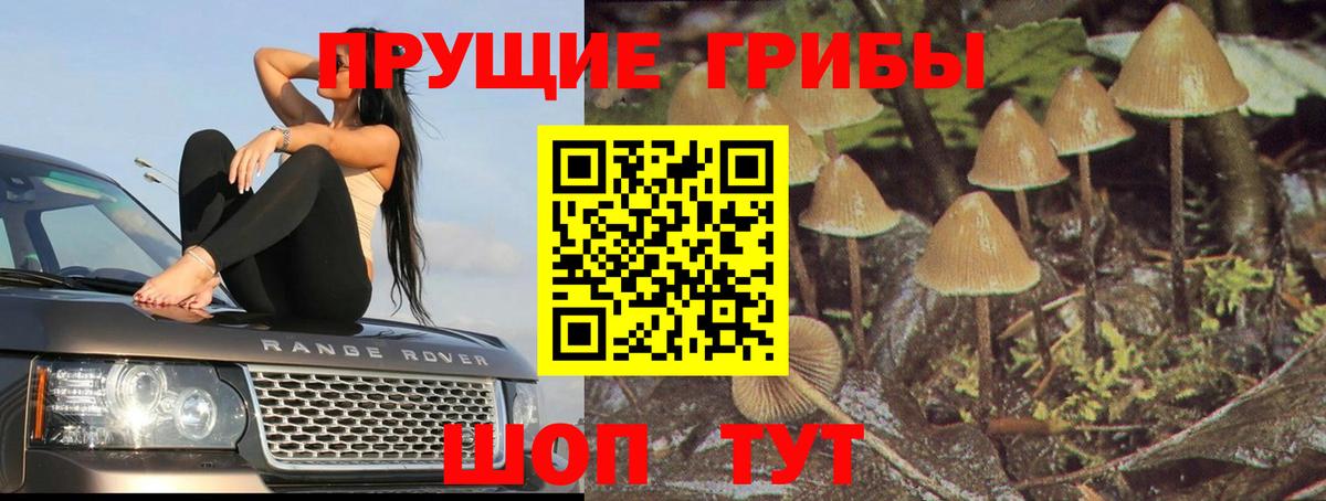 Псилоцибиновые грибы прущие грибы  Домодедово  Галлюциногенные грибы ЛСД 