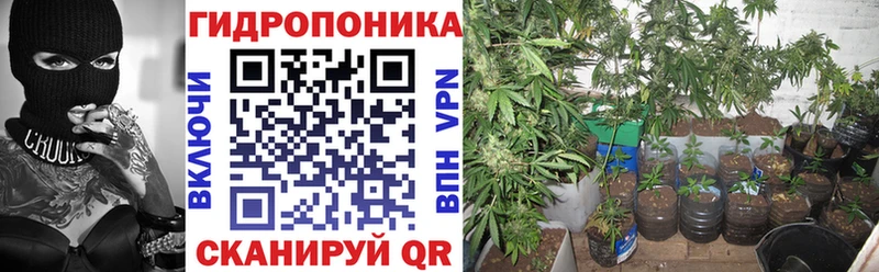 Шишки марихуана SATIVA & INDICA  hydra сайт  Домодедово 